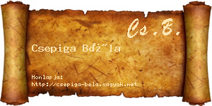 Csepiga Béla névjegykártya